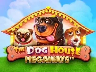 the dog house megaways